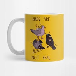 Birds are not real Mug